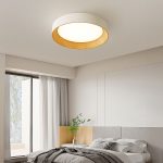 Minimalist-LED-Round-Ceiling-Light-Homdiy-1